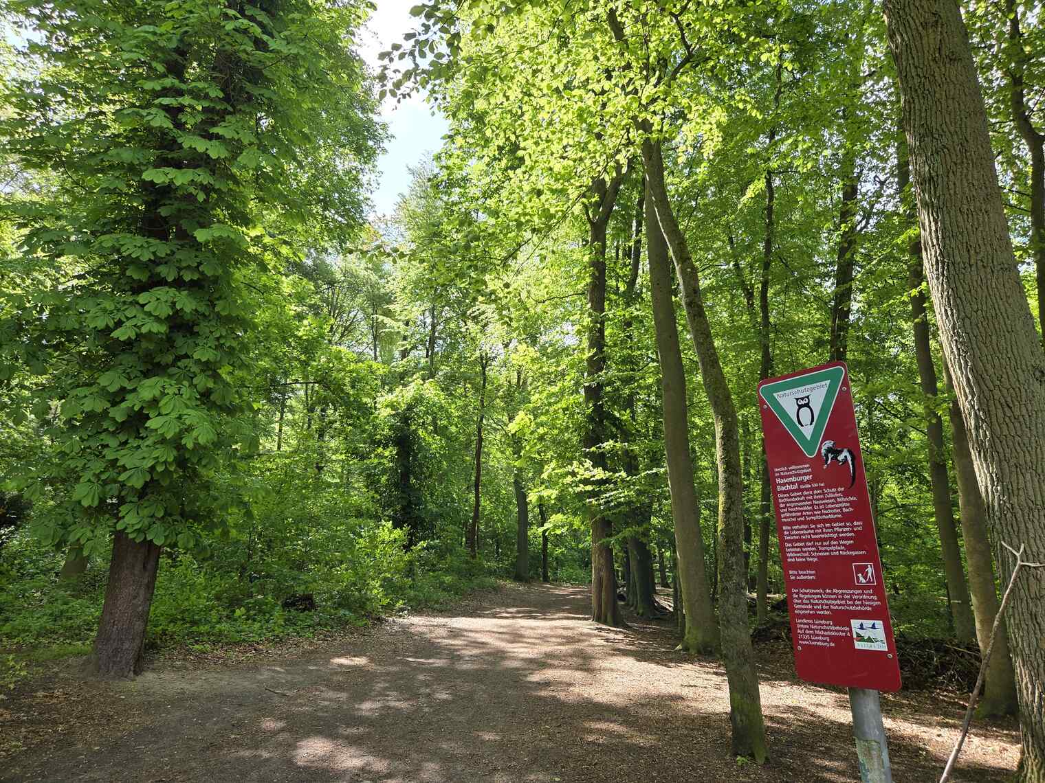Im Wald